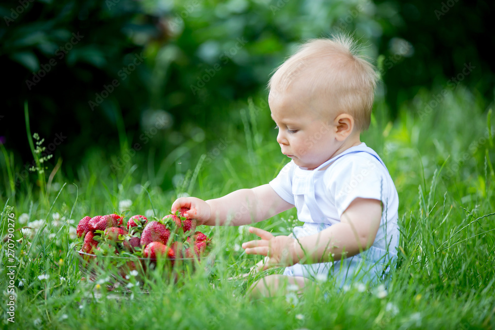 Cute toddler child, boy, eating strawberries in a garden Cute toddler child, boy, eating strawberries in a garden