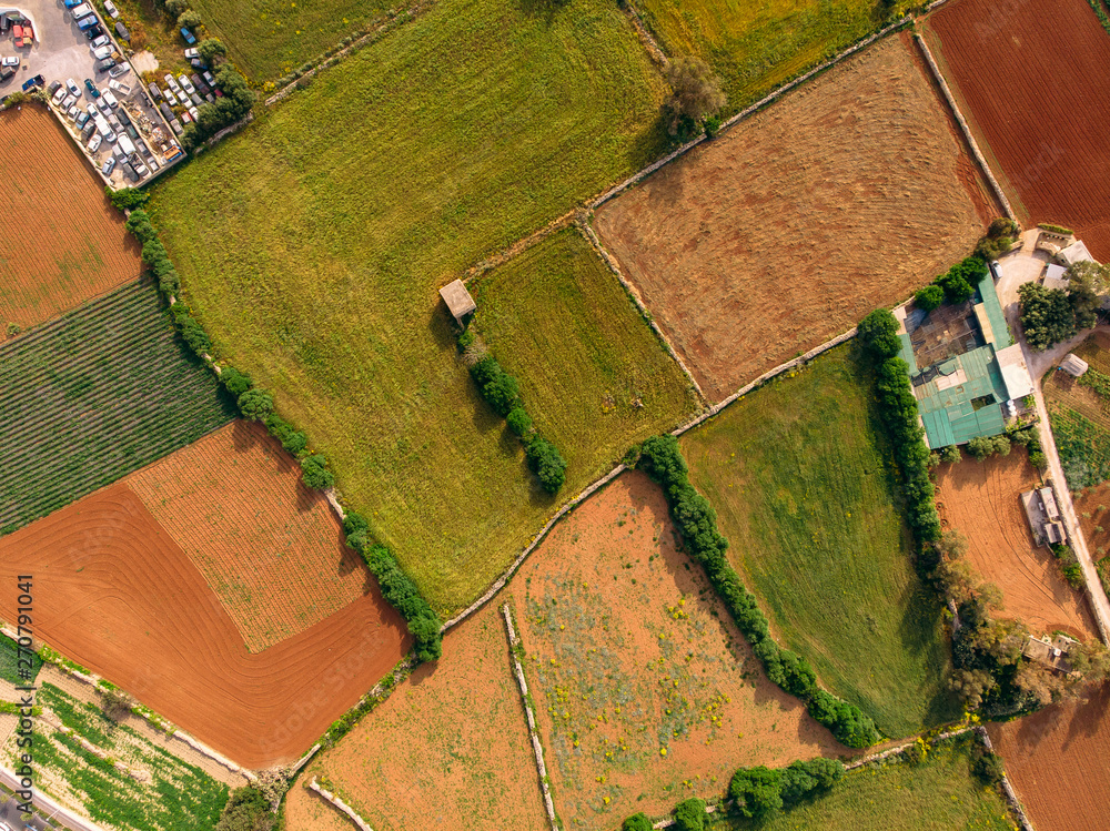 Fototapeta premium Fields for planting green, yellow, greenhouses growing tomatoes and strawberries. Aerial top view