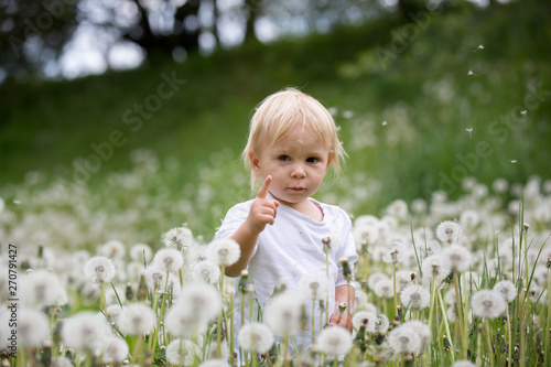 Sweet boy, blowing on dandelion beautiful field with many flowers