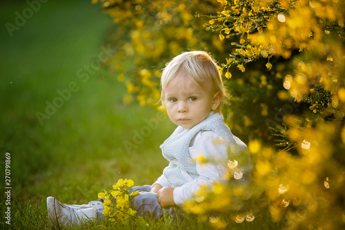 Beautiful happy little baby boy sitting on a green meadow with yellow flowers © Tomsickova