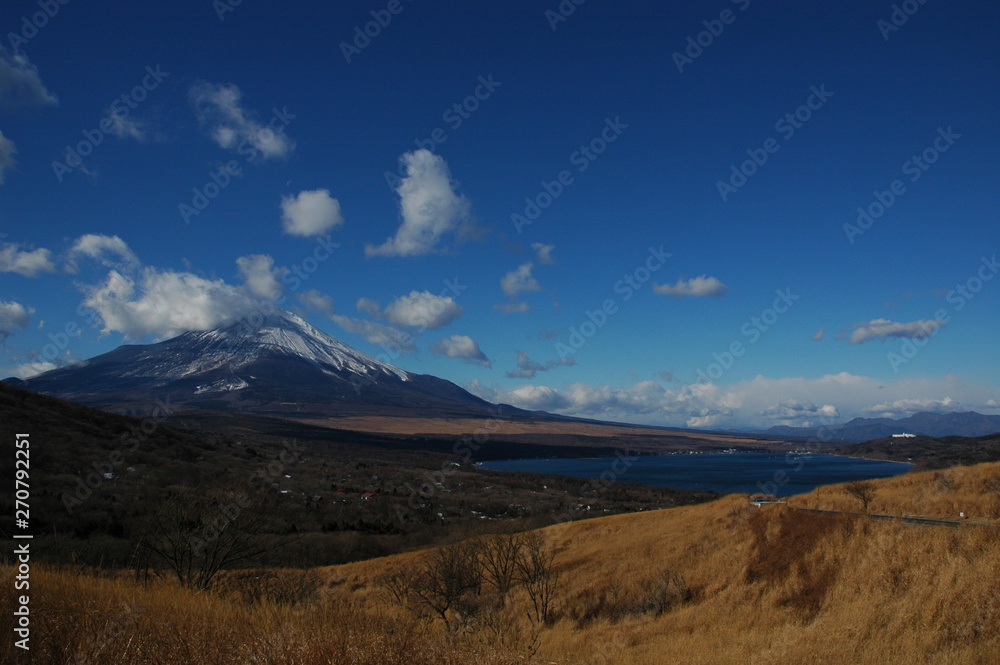 Fototapeta premium 富士山