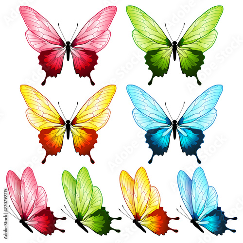 Beautiful butterfly collection  four colors