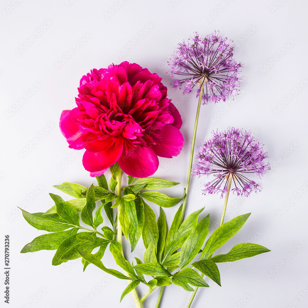 Obraz premium Spring flowers on a gray background - creative picture with space for text