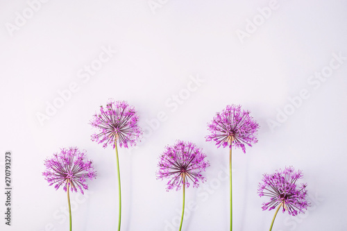Spring flowers on a gray background - creative picture with space for text