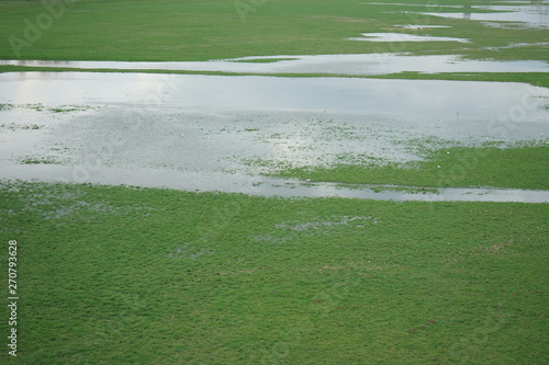 Überschwemmung Hochwasser  photo