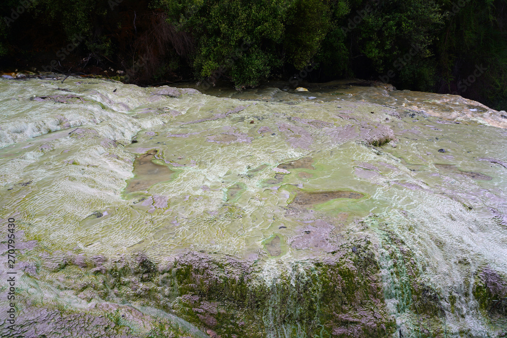 Φωτογραφία Geothermal craters in the forest in the Waiotapu area of the Taupo Volcanic Zone