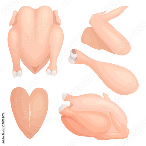 Set of whole and parts chicken. Top and side view. Chicken fillet, wing, leg. Vector illustration in cartoon style. Cut up raw chicken carcass.