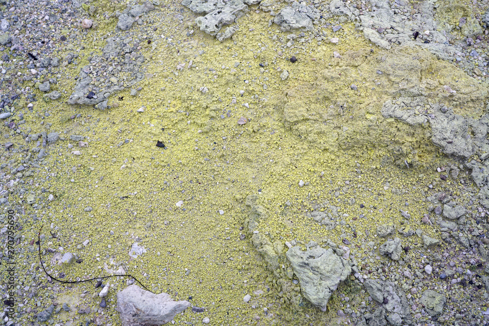 Geothermal craters in the forest in the Waiotapu area of the Taupo Volcanic Zone in New Zealand