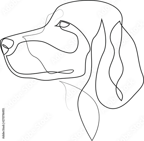 Continuous line Irish Setter. Single line minimal style Setter dog vector illustration. Portrait