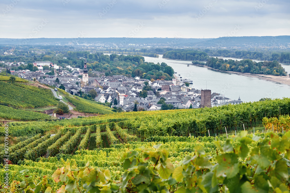 Aerial view to the Rudesheim am Rhein town Germany from tourist route
