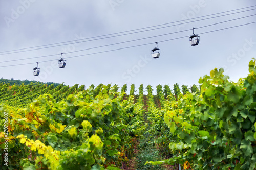 Grape fields with ropeway above them in Germany Rudesheim am Rhein town
