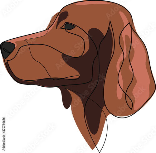Continuous line Irish Setter. Single line minimal style Setter dog vector illustration. Portrait