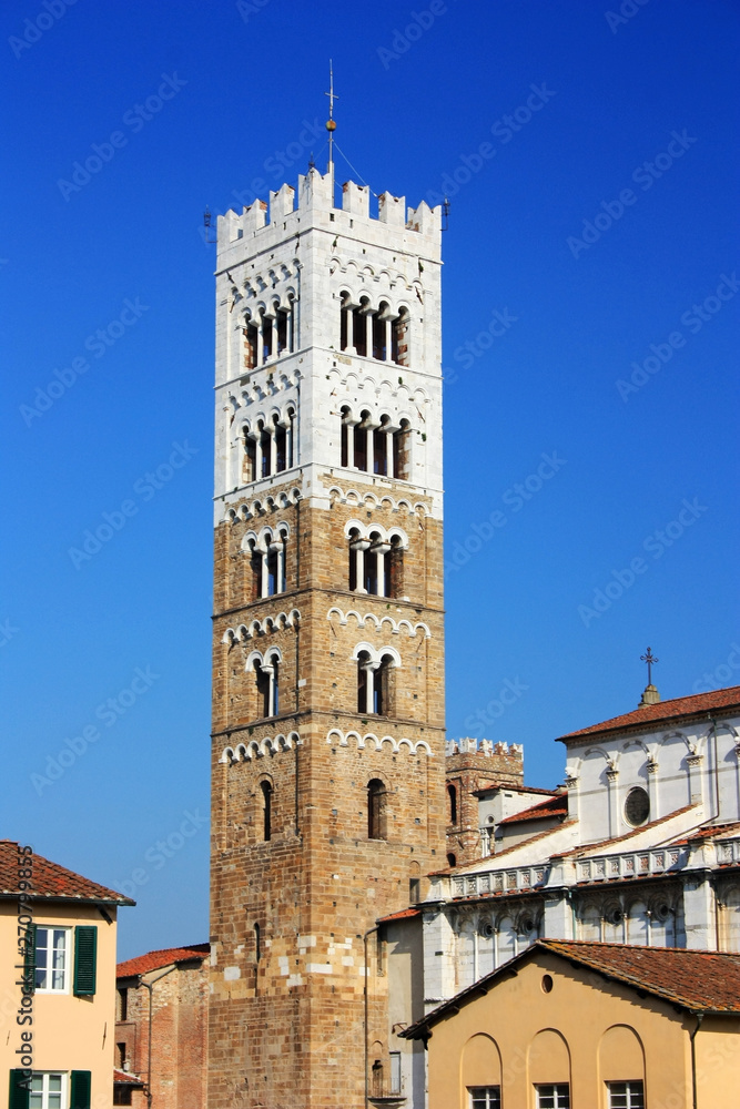 Medieval tower in the city of Lucca, Italy