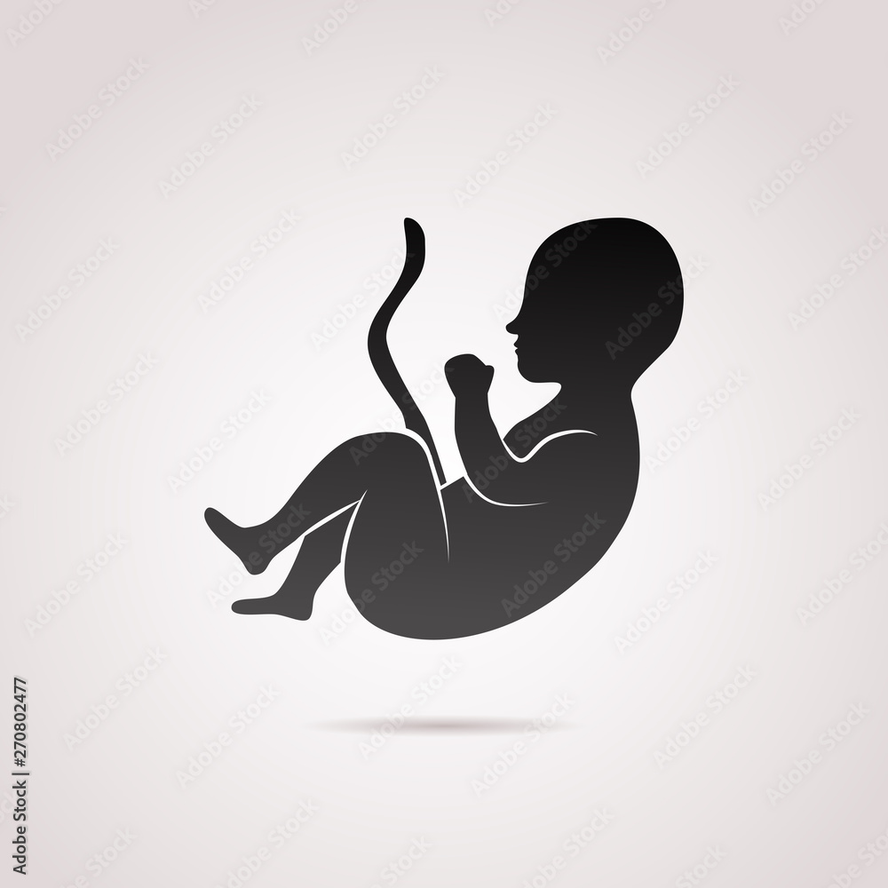 Obraz premium Embryo, pregnancy vector icon. 