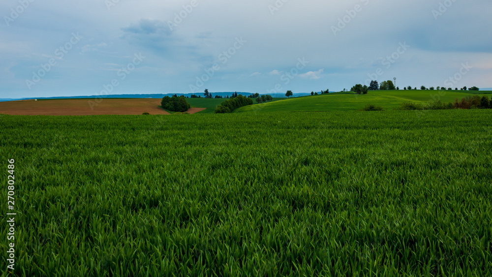 Rural landscape with green field and blue sky in Neudenau, Germany