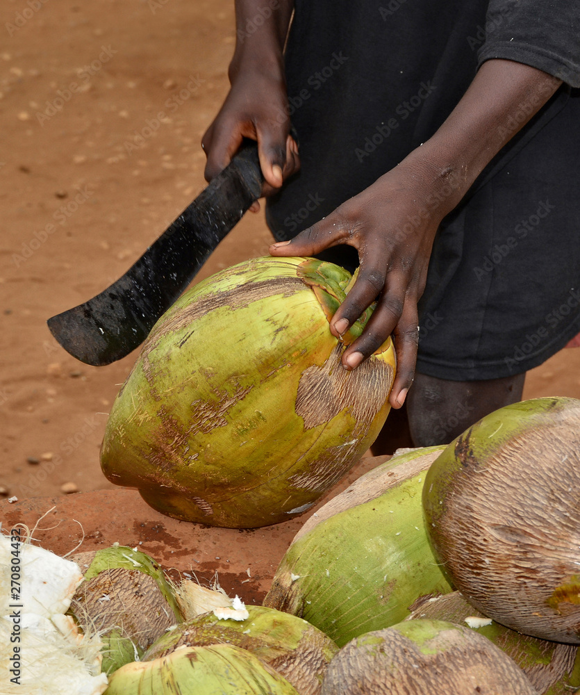 Boy cutting a coconut with a big African knife. Sale of coconuts