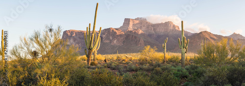 A panorama image of the Superstition Mountains in Arizona in the morning light.  The image contains saguaro cactus and dramatic clouds on the peaks. photo