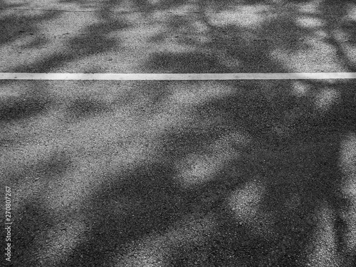 shadow of tree on asphalt road with white line texture