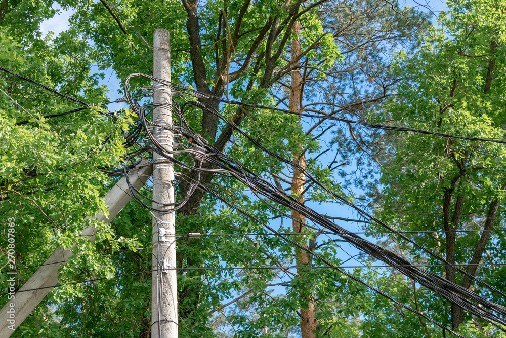 Fototapeta premium Post with wires in trees.