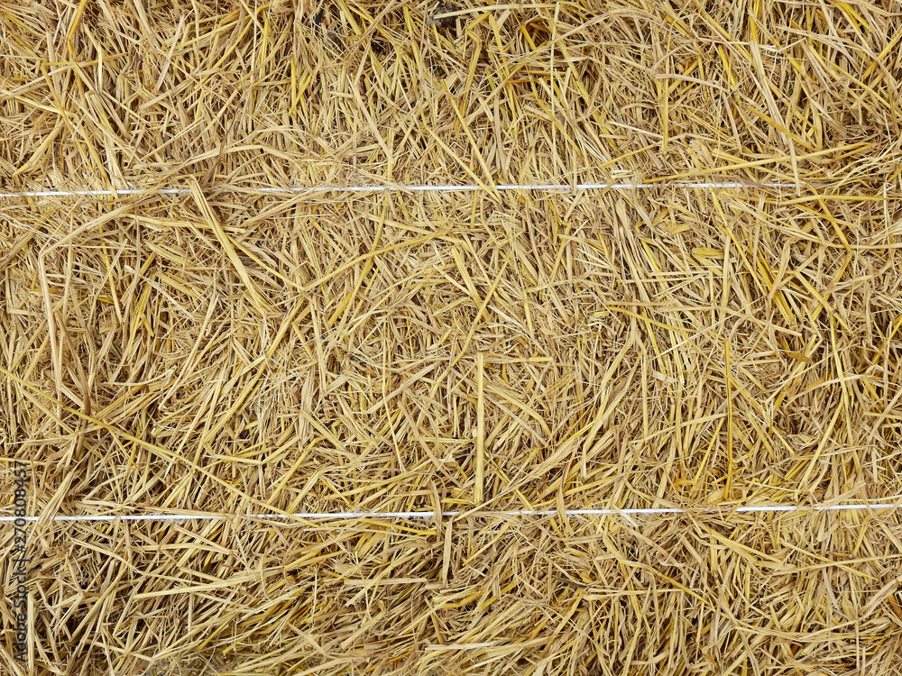 hay dry straw texture background hay dry straw texture background