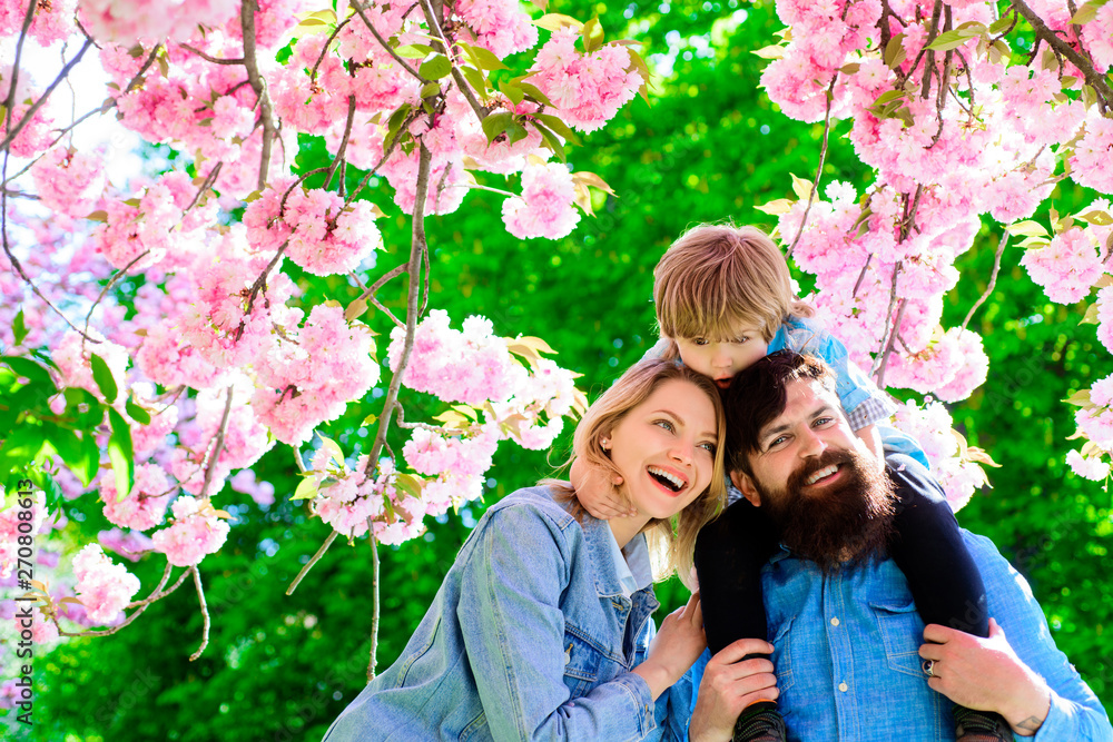 Family lifestyle concept. Son hugs his parents against background of sakura blossom. Parents and little son playing in spring park. Concept of family rest and love. Walk through blooming sakura garden Family lifestyle concept. Son hugs his parents against background of sakura blossom. Parents and little son playing in spring park. Concept of family rest and love. Walk through blooming sakura garden