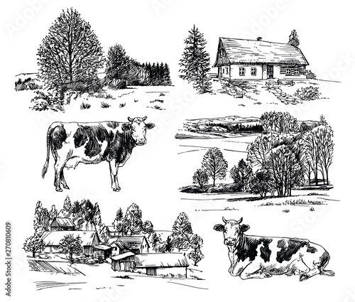 Farm, cows, rural houses. Hand drawn set.
