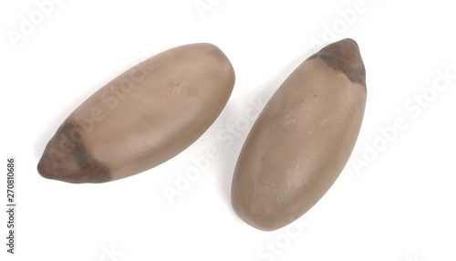 Realistic 3D Render of Pine Nut
