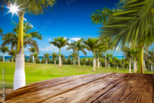 Fototapeta Naklejka Na Ścianę i Meble -  Wooden table background of free space and green palms background. Sea landscape and blue sky. 