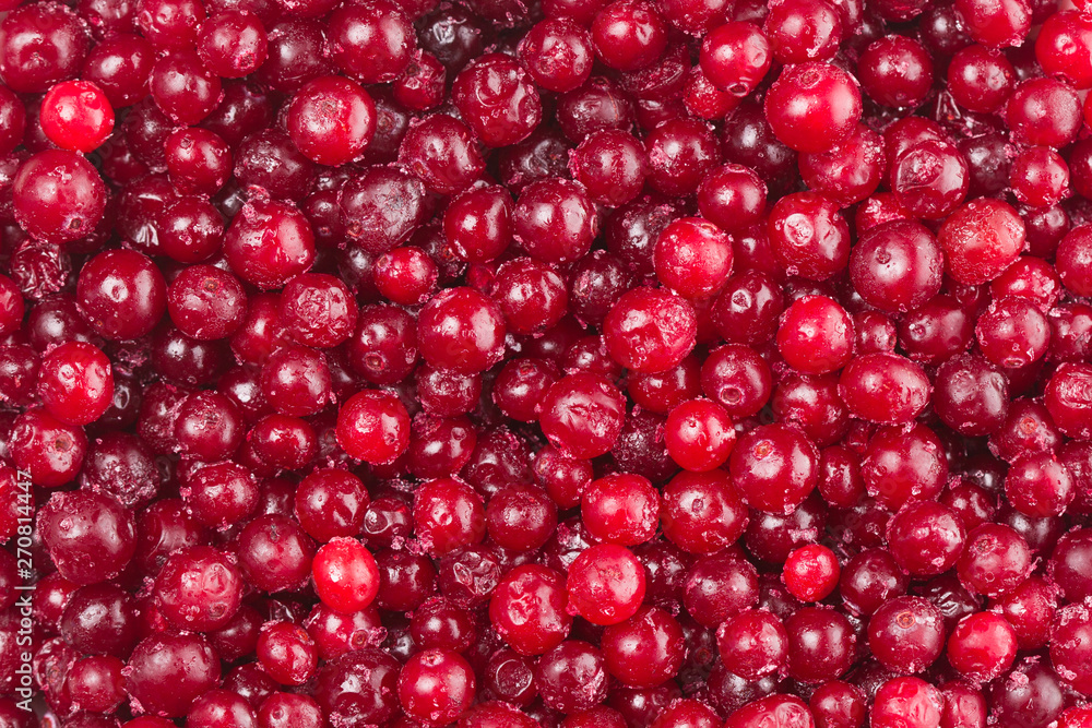 bright red frozen lingonberries in a pie dough bright red frozen lingonberries in a pie dough