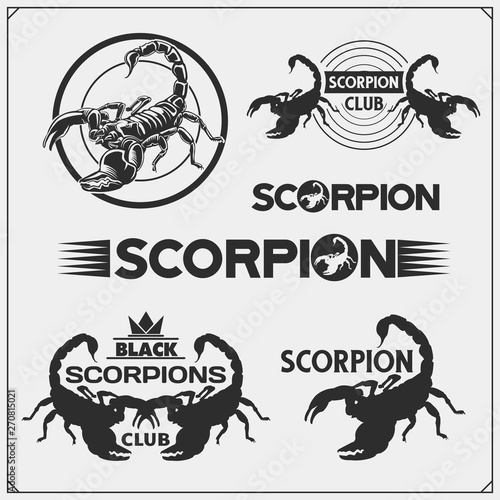 Scorpions emblems, labels, logos and design elements. Silhouettes of a scorpion. Print design for t-shirt. Tattoo design. Sport club emblems.