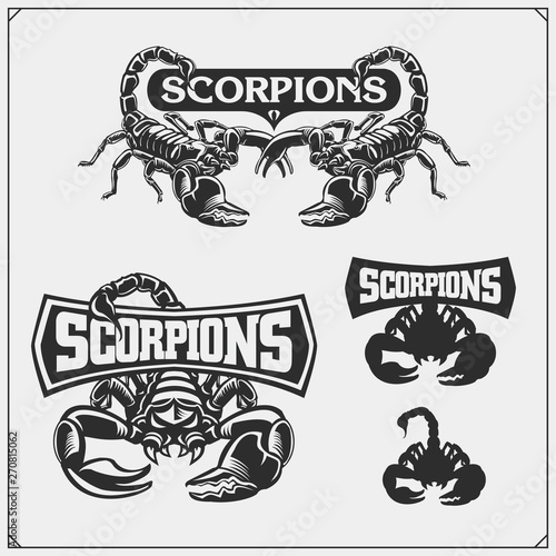 Scorpions emblems, labels, logos and design elements. Silhouettes of a scorpion. Print design for t-shirt. Tattoo design. Sport club emblems.