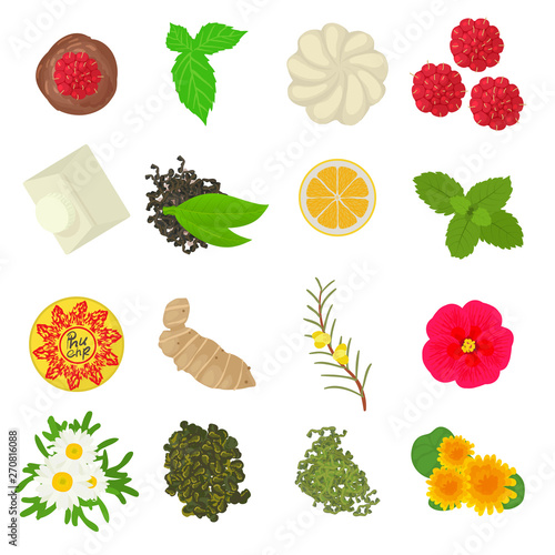 Herbal seasoning icons set. Cartoon set of 16 herbal seasoning vector icons for web isolated on white background