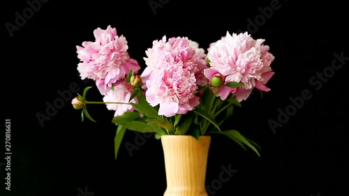 Wallpaper Mural bouquet of blooming peonies on black background Torontodigital.ca