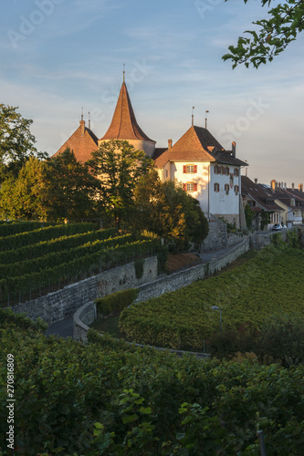 Schloss Erlach, Schweiz
