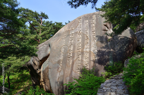 North Korean scenery. Red korean pine forest photo