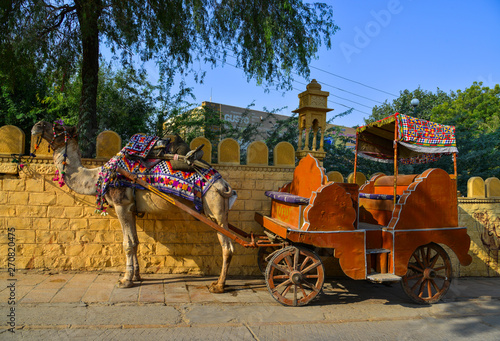 Camel taxi in the streets of Jaisalmer, India photo