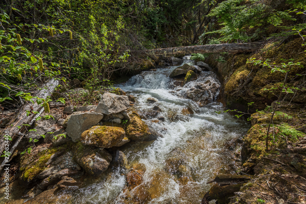 Nice creek  or small river in Vancouver, Canada. View with mountain background.