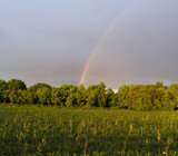 rainbow over field