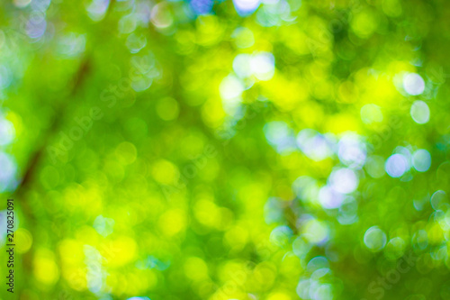 abstract blur of nature with the bokeh of light through the trees