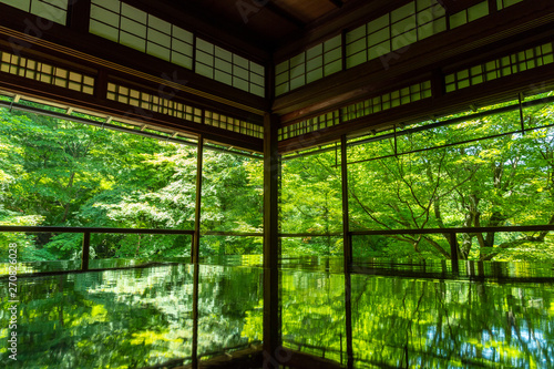 瑠璃光院 逆さ新緑 (日本庭園, 寺社)