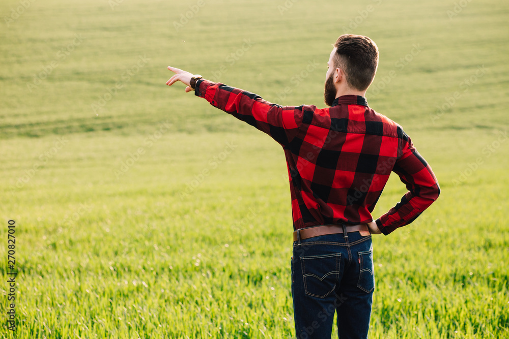 Young bearded agronomist standing in cultivated wheat crops field Young bearded agronomist standing in cultivated wheat crops field
