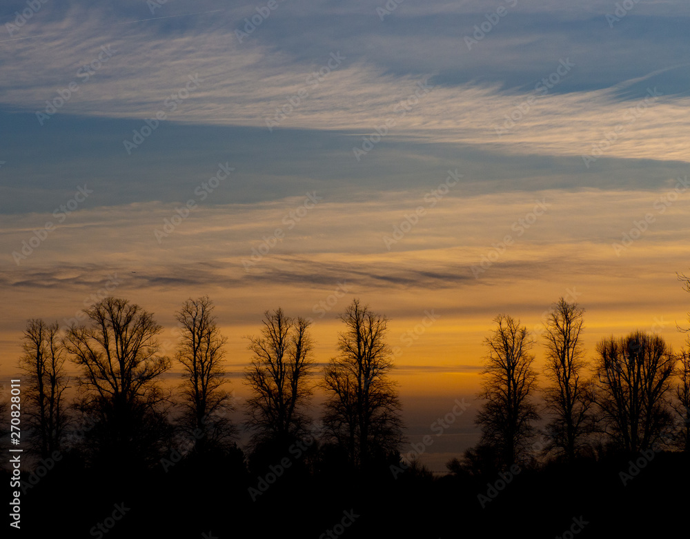Trees and Sunset sky Trees and Sunset sky