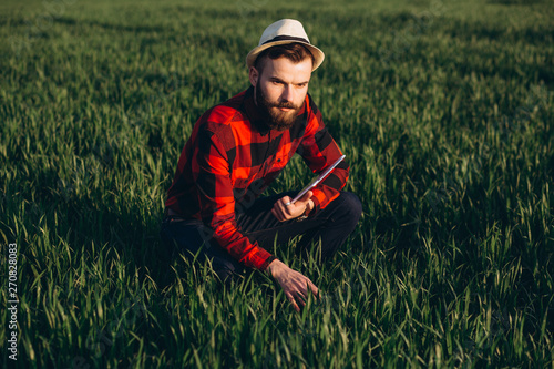 Young handsome bearded farmer with tablet analyzes the crop in wheat field in early summer © anatoliycherkas