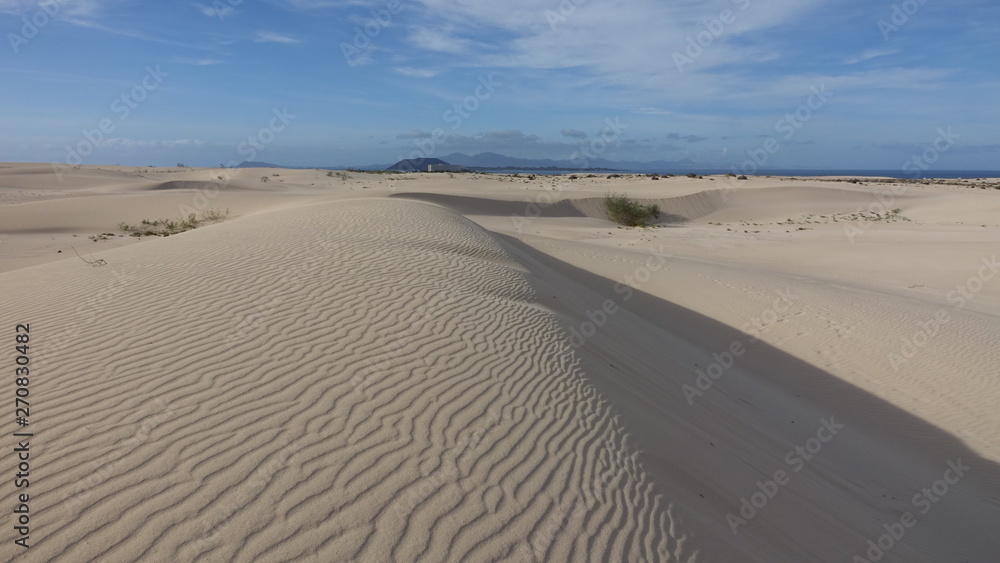 Patterns in the sand in the Natural park in Corralejo Fuerteventura Spain