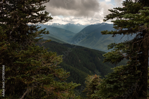 The vast panorama that is Olympic National Park  USA  Low clouds hug the hillside framed through the trees  nobody in the image