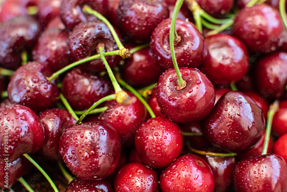 Fresh organic cherries macro view. Beautiful summer cherry wallpaper. Fresh organic cherries macro view. Beautiful summer cherry wallpaper.
