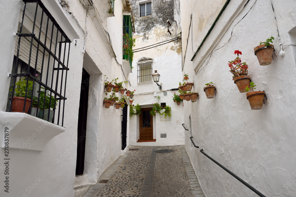 Whitewashed walls with clay pots of geranium flowers in Arcos de la Frontera Spain