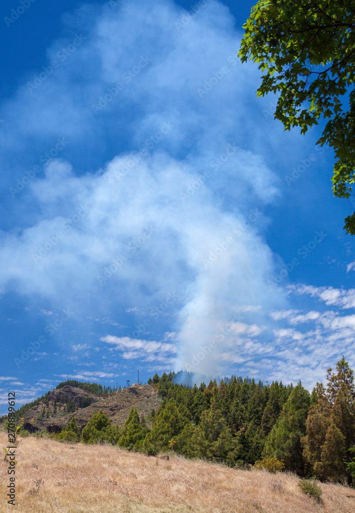 controlled burn in Las Cumbres