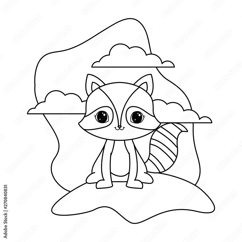 Fototapeta premium cute raccoon animal in landscape natural