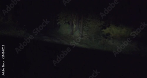 Road crossing the scary forest during a winter night in Europe. Sujective shot, drive point of view. Shot on RED EPIC 6K.